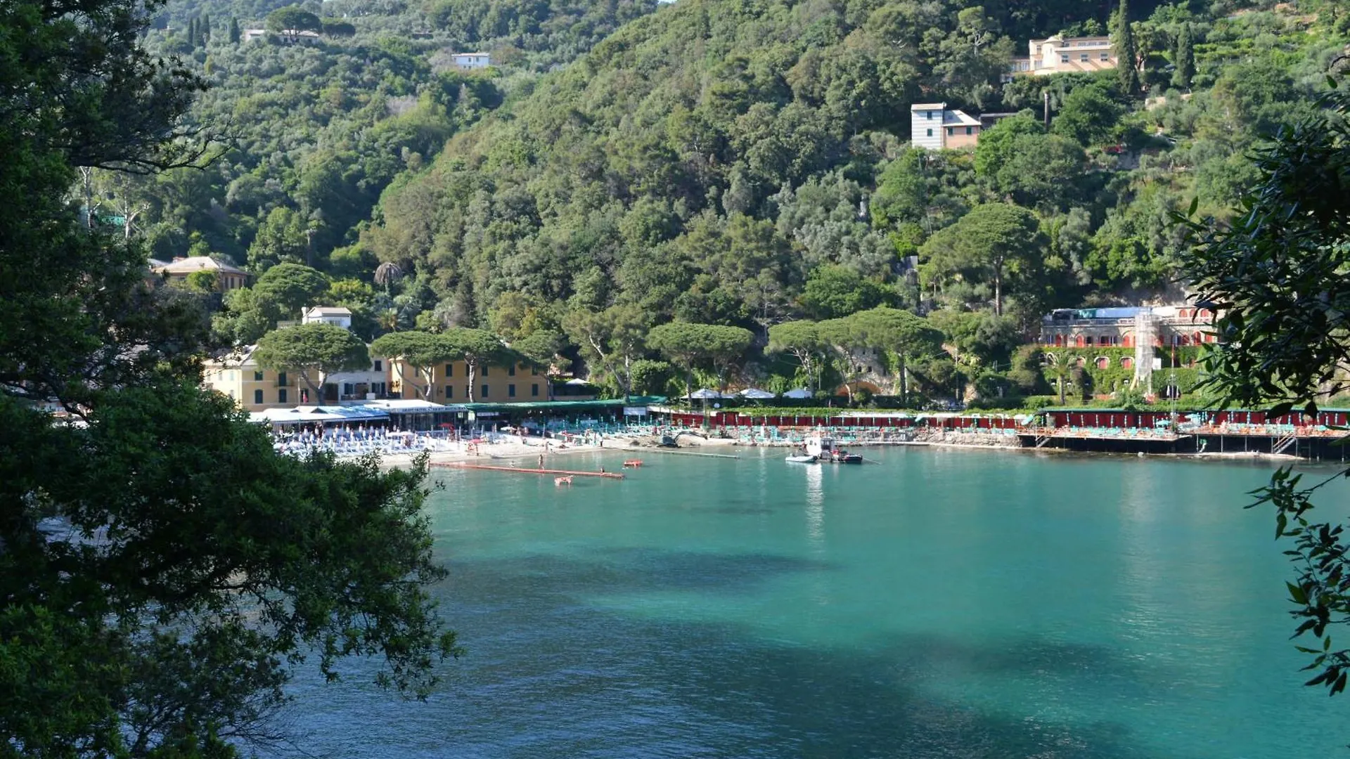 Apartment Apartment/Studio Il Girasole Rapallo